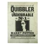 Блокнот Erhaft Гарри Поттер 96 лист.