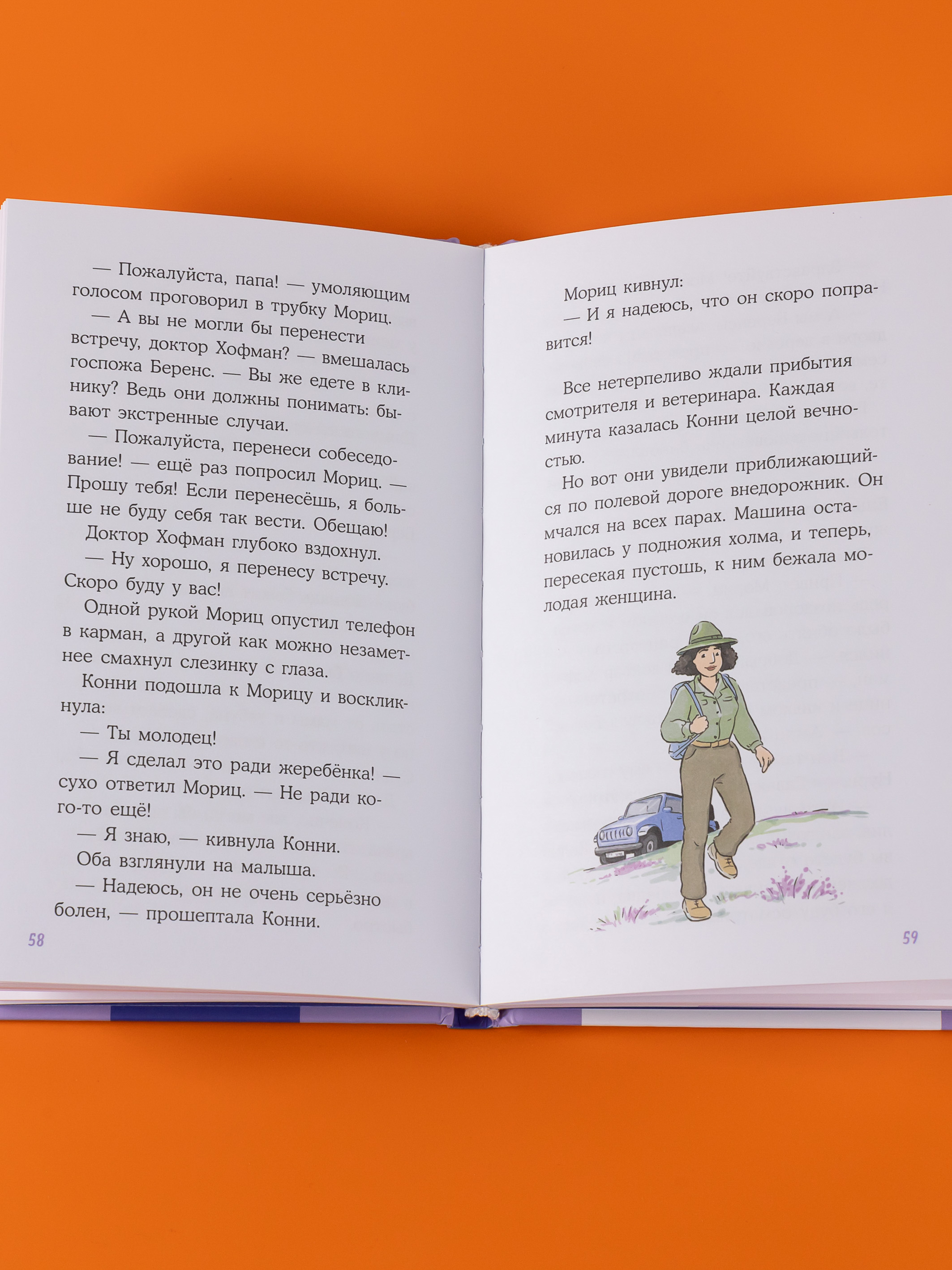 Книга Альпина. Дети Конни и спасение диких лошадей - фото 8