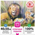 Картина по номерам Остров Сокровищ Молодой папаша