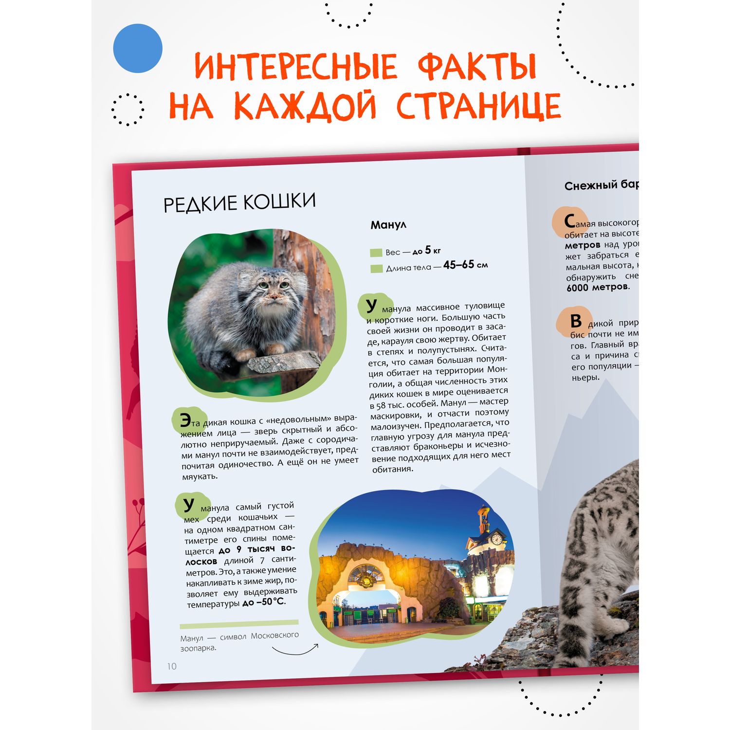 Книга МОЗАИКА kids Тайна пропавшей медали - фото 2