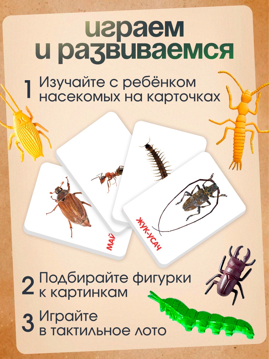 Настольная игра IQ-ZABIAKA Мир насекомых - фото 2