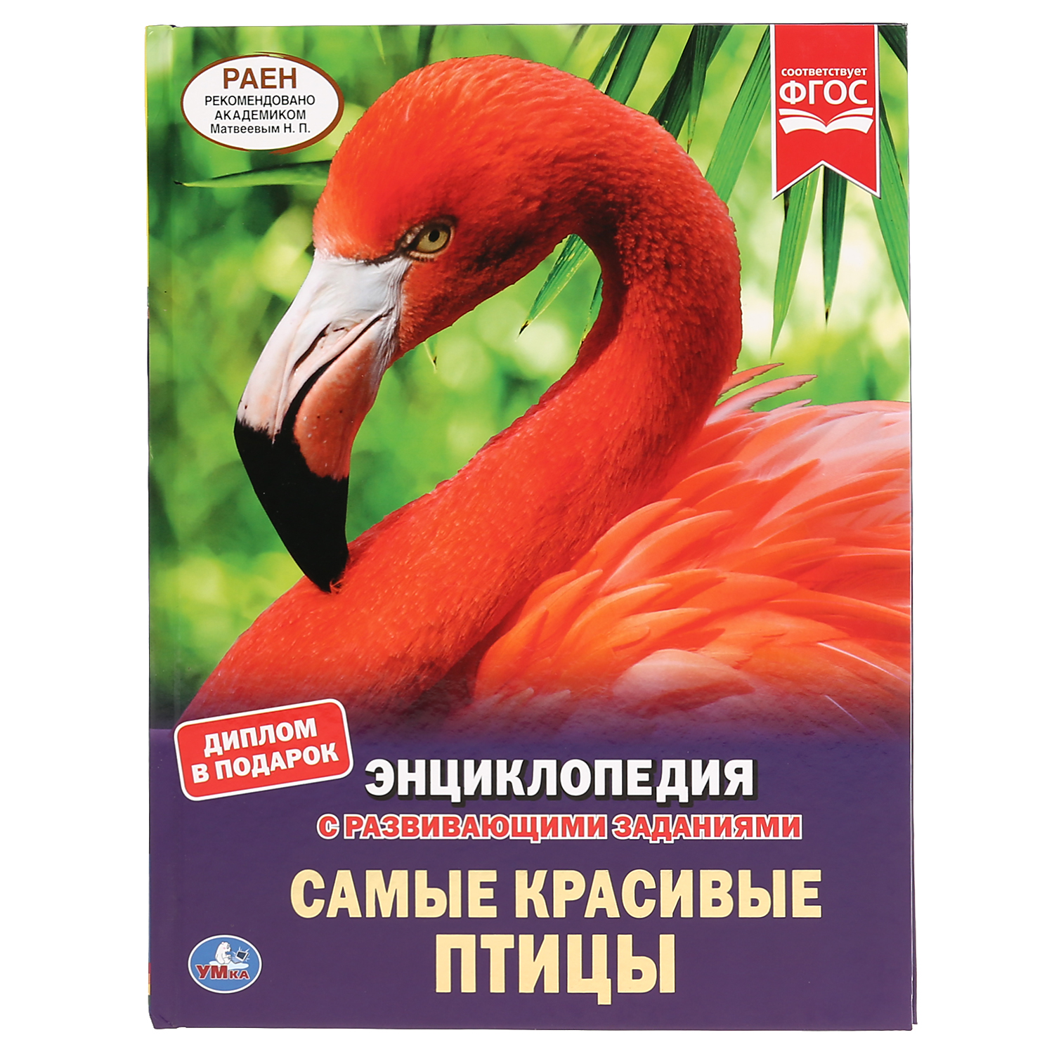 Книга Умка Самые красивые птицы. Энциклопедия с развивающими заданиями 294441 - фото 1