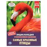 Книга Умка Самые красивые птицы. Энциклопедия с развивающими заданиями 294441