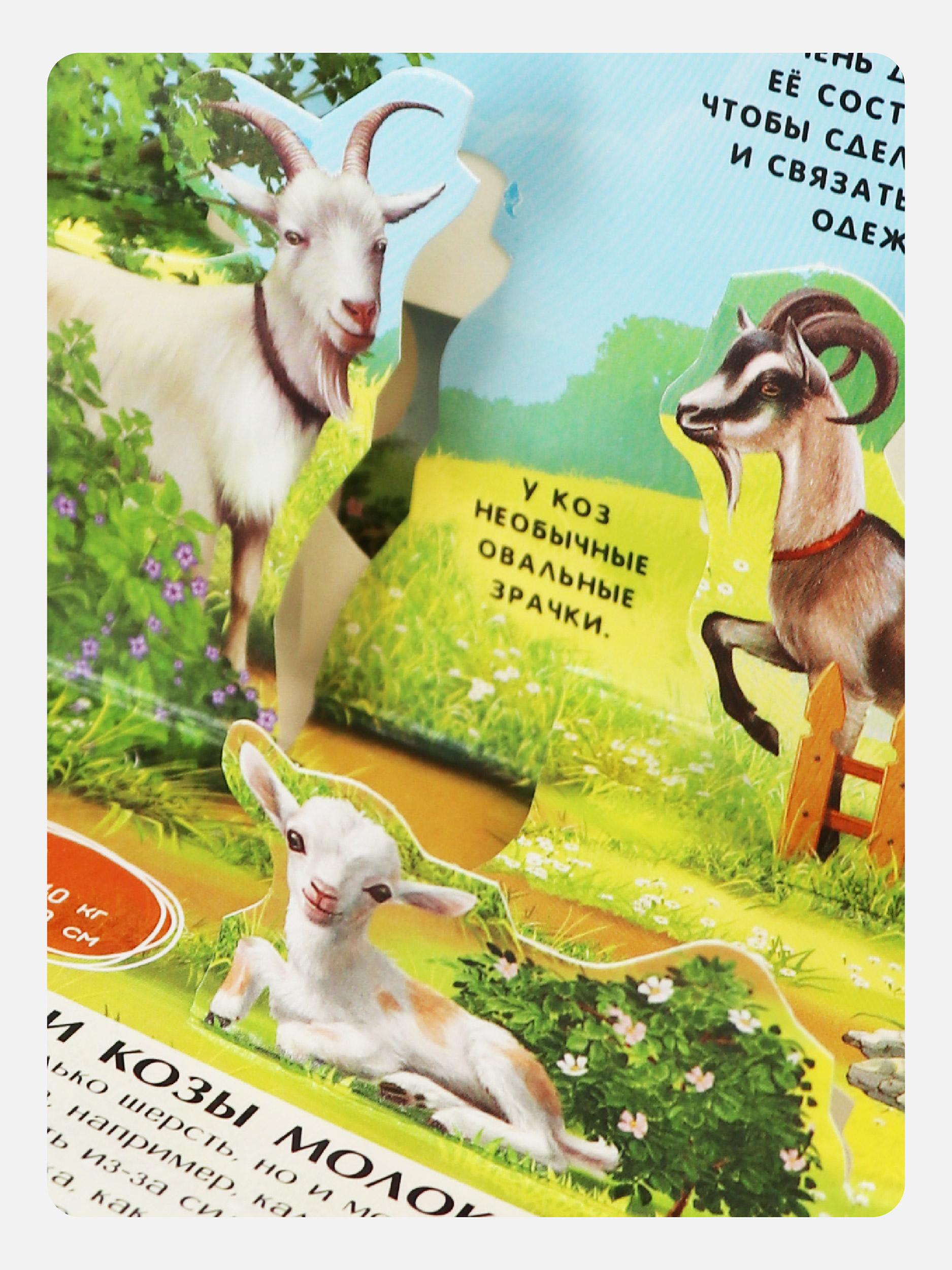 Набор книг в сундук 12 книг Malamalama Коллекция любимых сказок и Энциклопедии с объемными картинками - фото 11