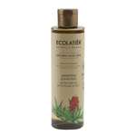 Шампунь Ecolatier 250 мл