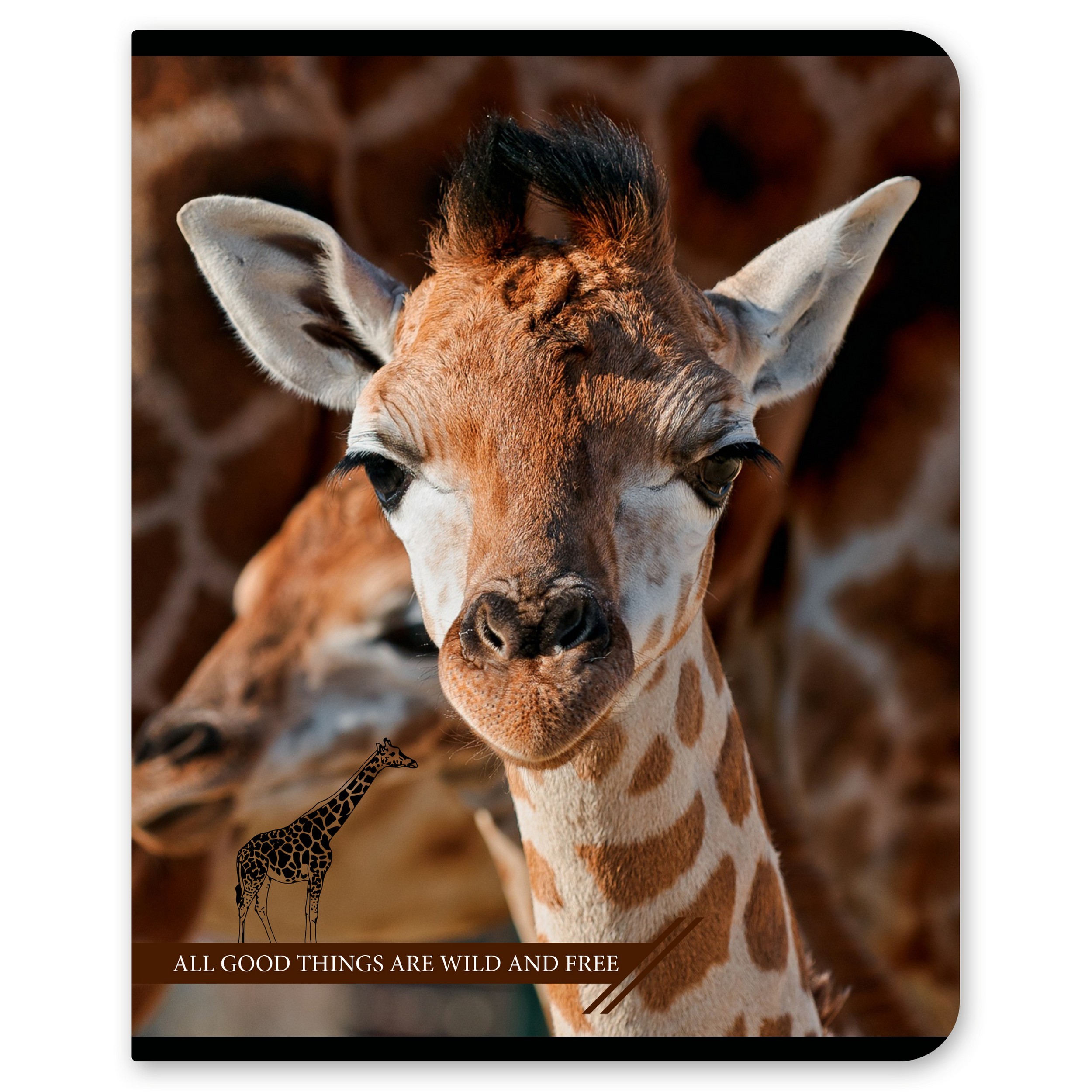 Общая тетрадь Полиграф Принт клетка 96 лист. в ассортименте - фото 2