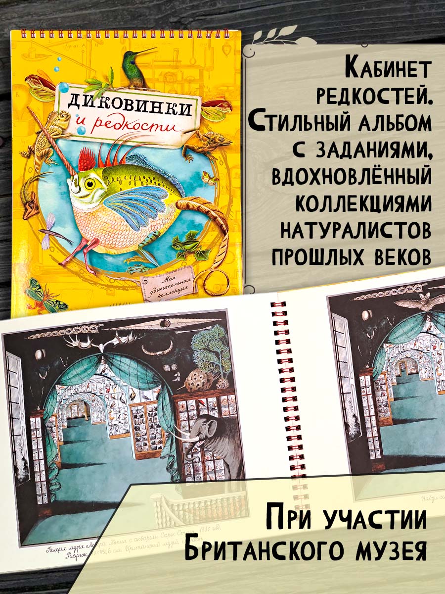 Книга Лабиринт Моя удивительная коллекция Диковинки и редкости - фото 1