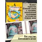 Книга Лабиринт Моя удивительная коллекция Диковинки и редкости