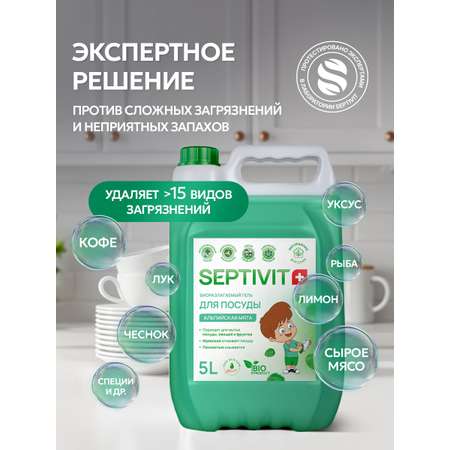 Средство для мытья посуды SEPTIVIT Альпийская мята 5л