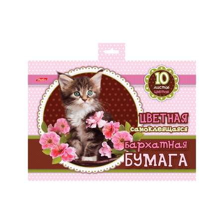 Художественная бумага Hatber 10 лист.