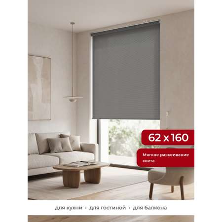 Рулонная штора GARDEN Sky графит 62х160см