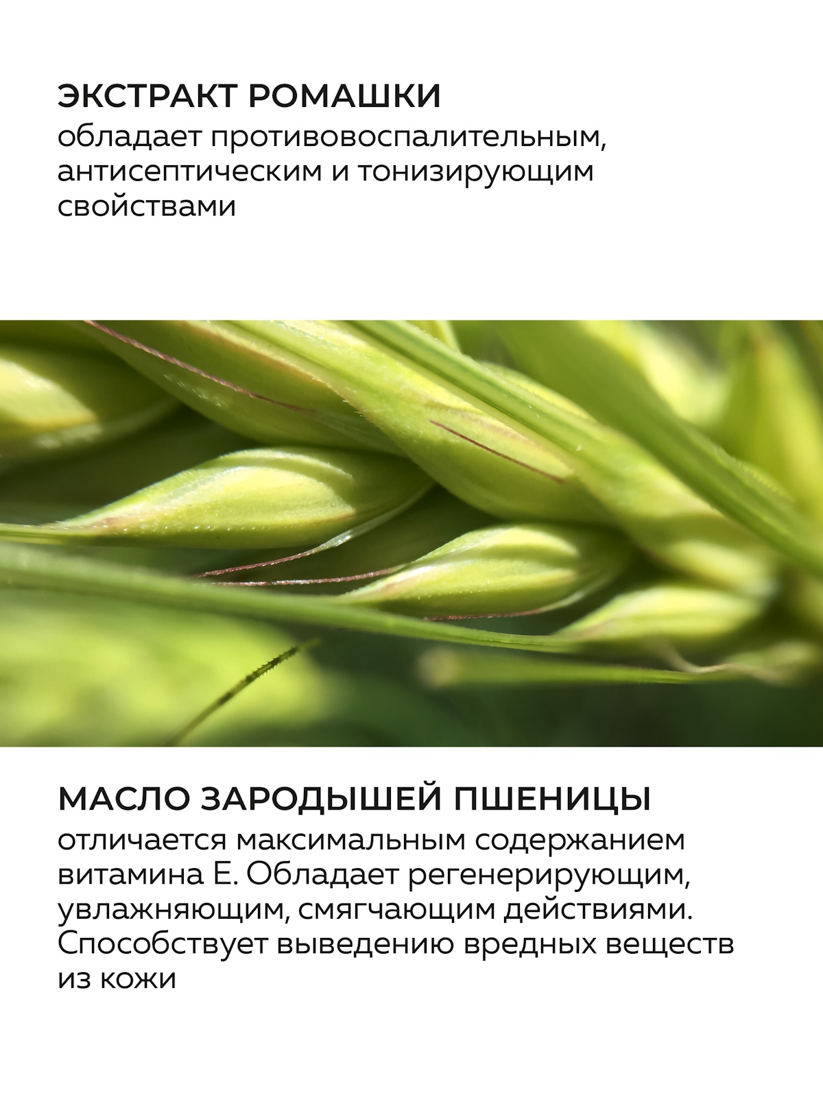 Крем Green Mama для лица гидробаланс ночной 100 мл 1 шт. - фото 5