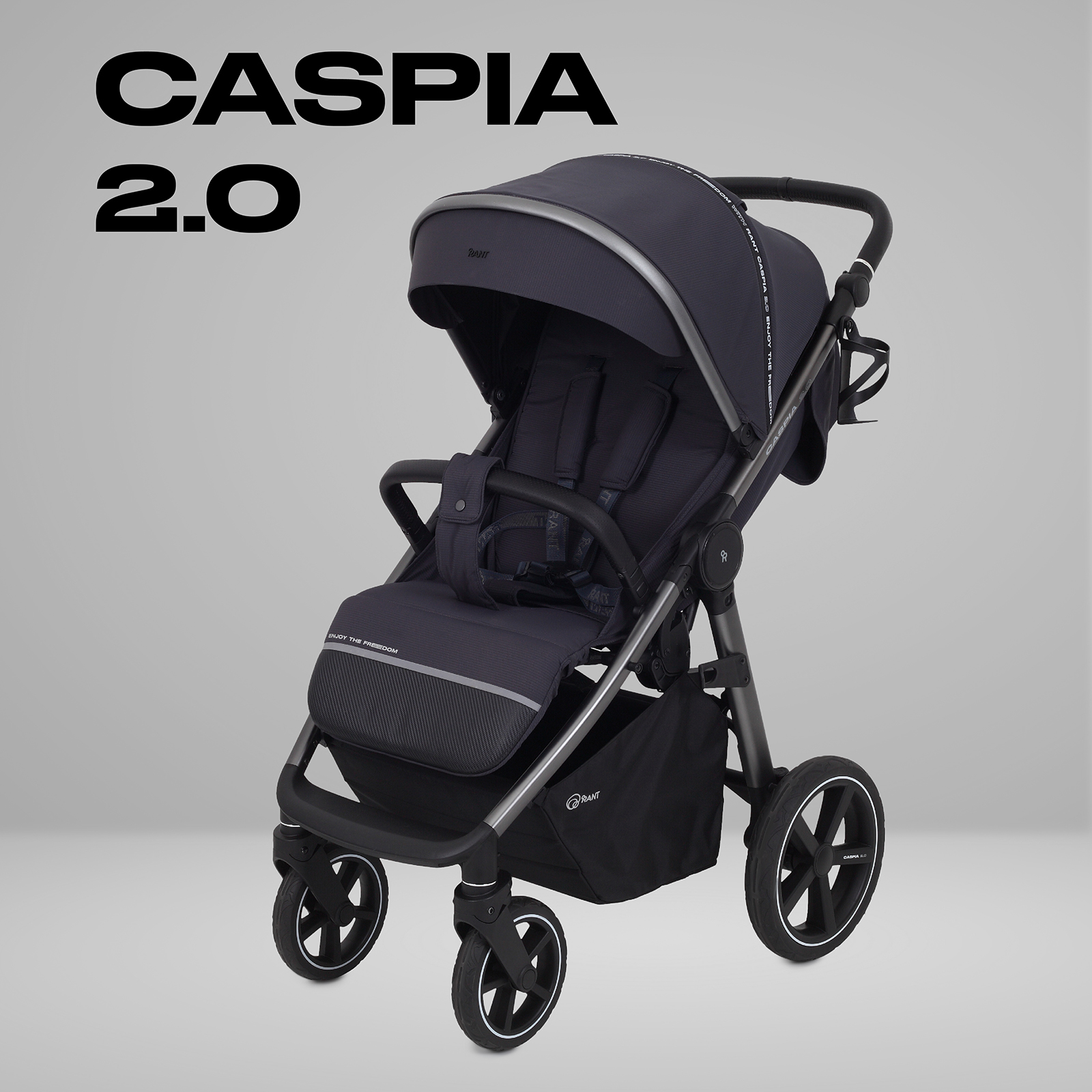 Коляска прогулочная Rant Caspia 2.0 черный - фото 1