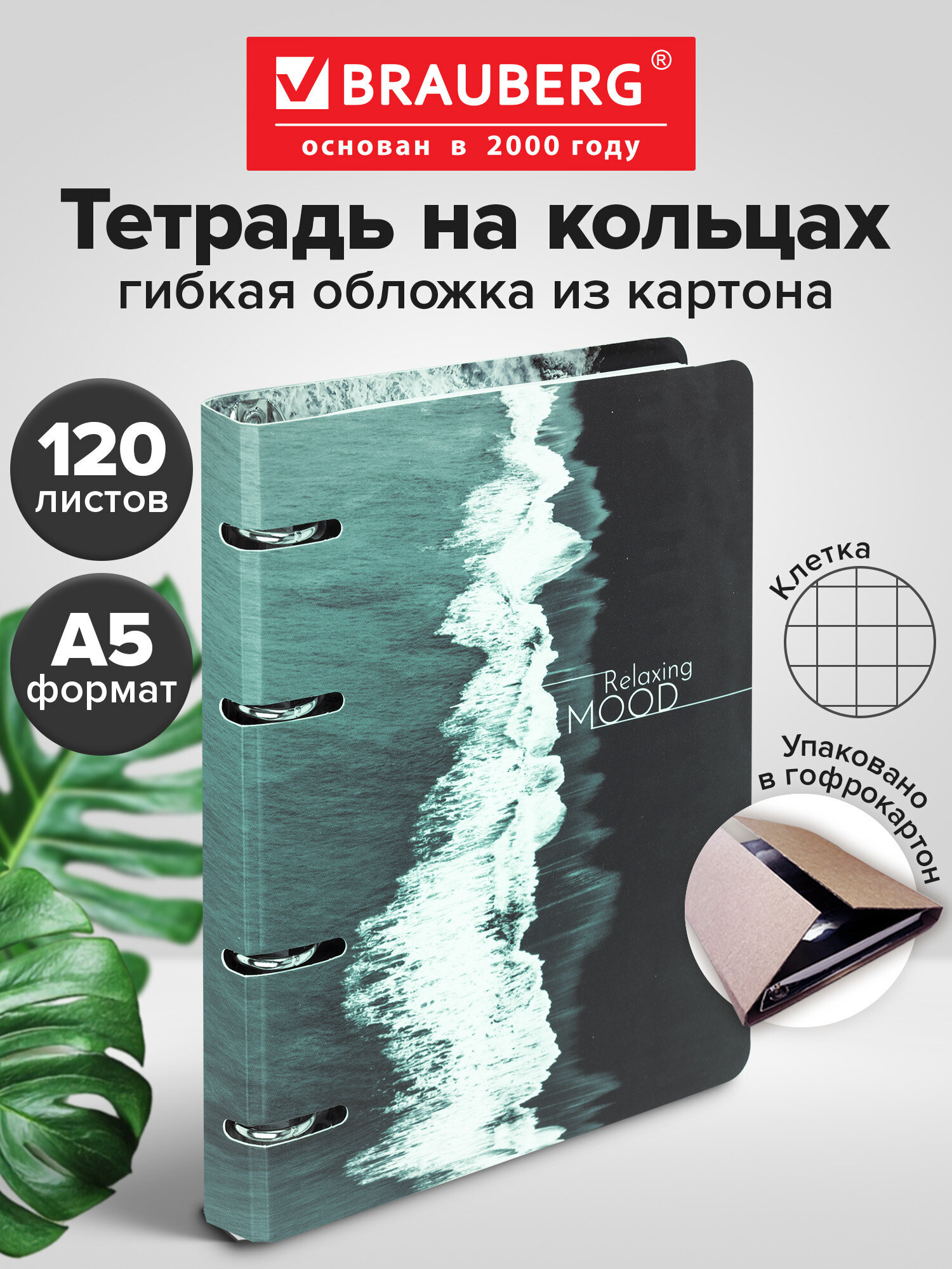 Тетрадь Brauberg клетка 120 лист. - фото 1