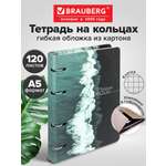Тетрадь Brauberg клетка 120 лист.