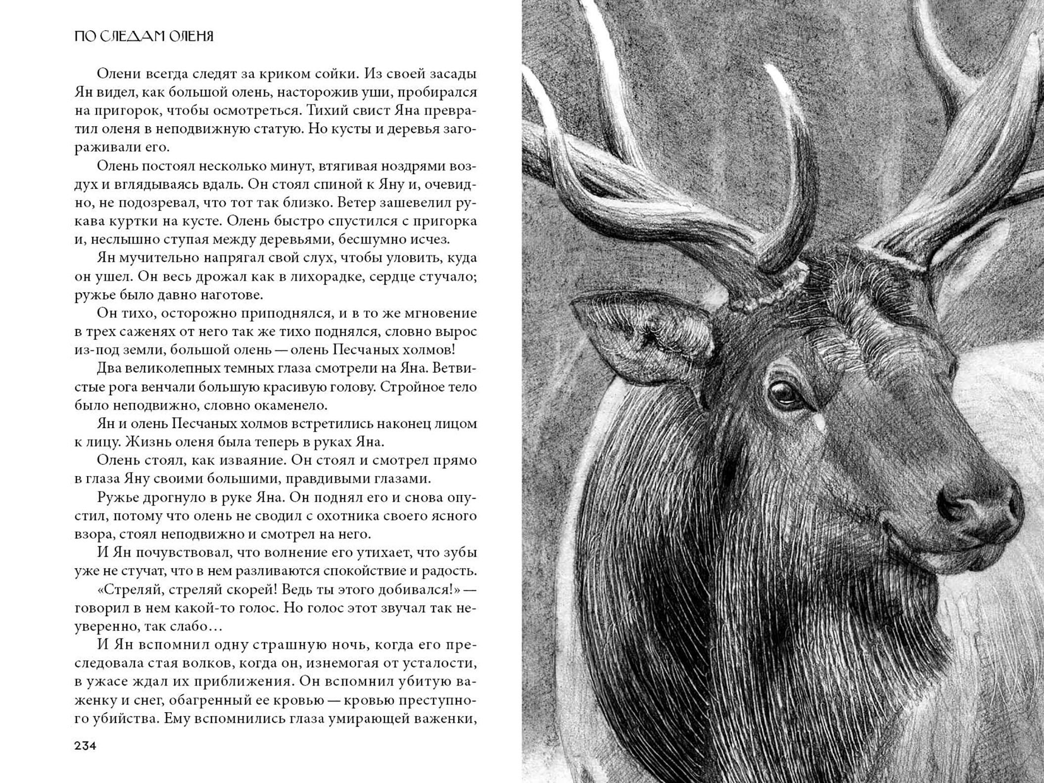 Книга Качели Кошка из трущоб и другие истории - фото 7