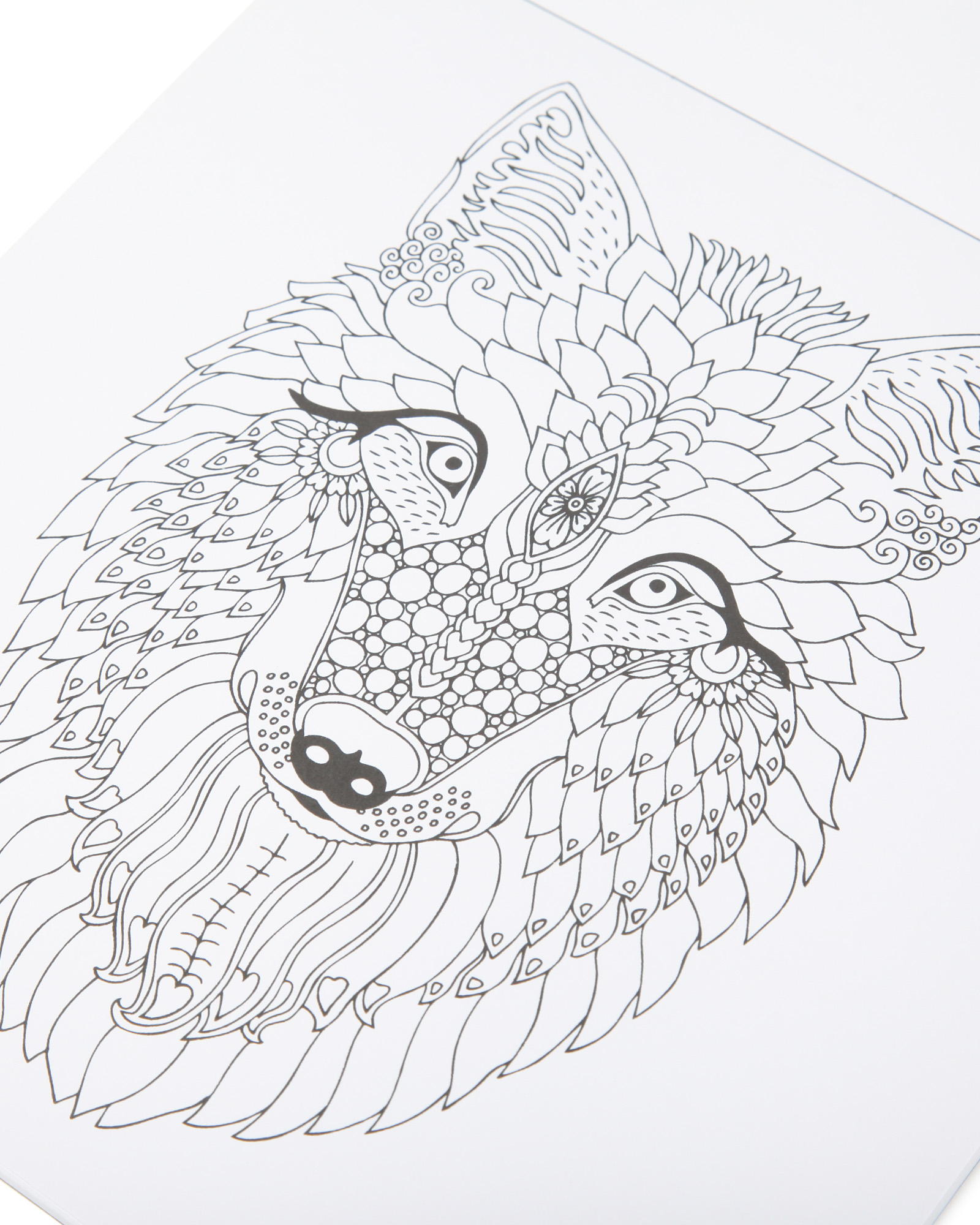 Раскраска Attivio Животный мир антистресс 24 листа - фото 3