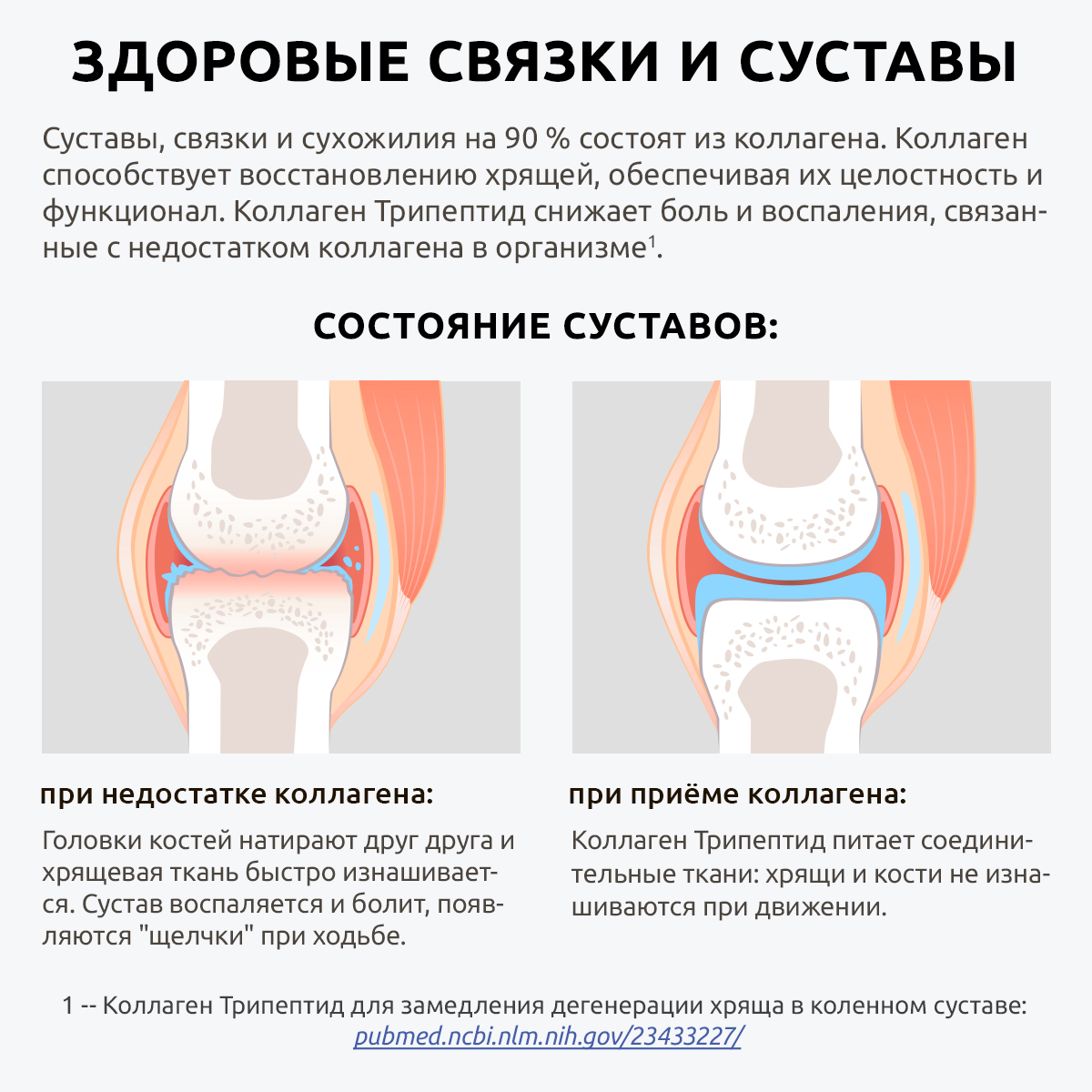 Коллаген морской UltraBalance низкомолекулярный Tripeptide БАД 360 капсул с витамином С и гиалуроновой кислотой - фото 10