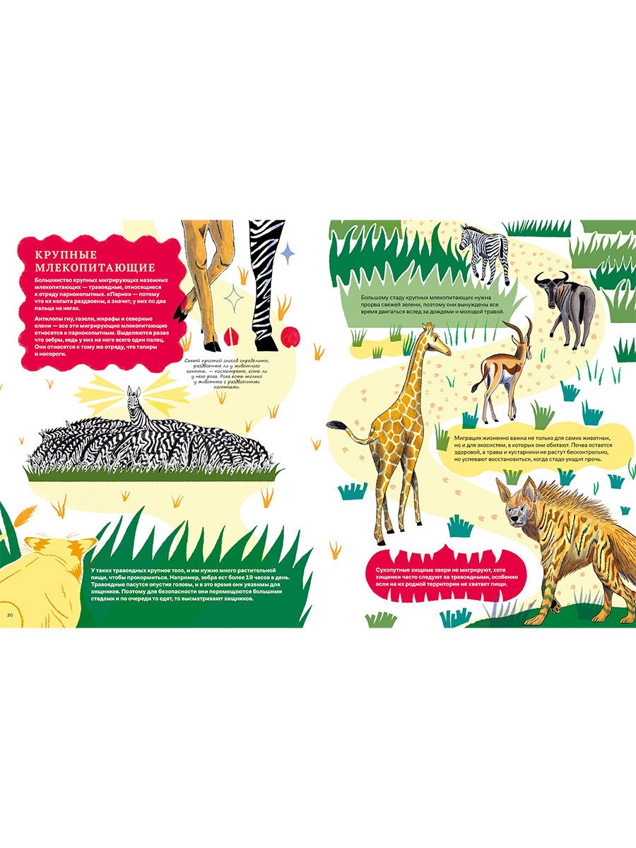 Книга Альпина. Дети Невероятные странствия животных - фото 5