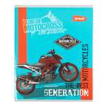 Общая тетрадь Erhaft клетка 96 лист.