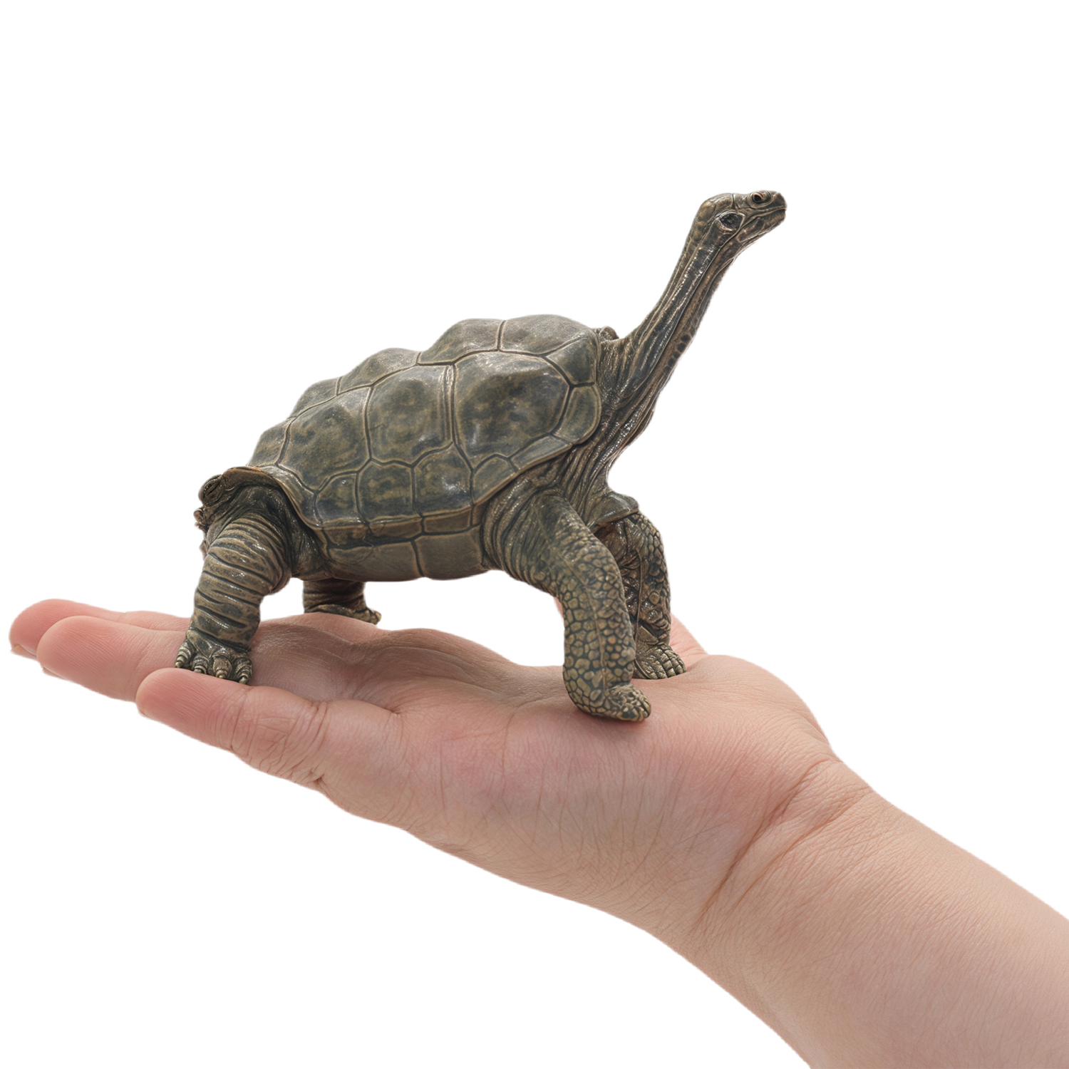 Фигурка Детское Время Черепаха - фото 3