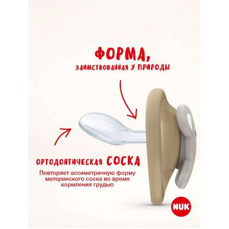 Набор для кормления Nuk 4 шт.