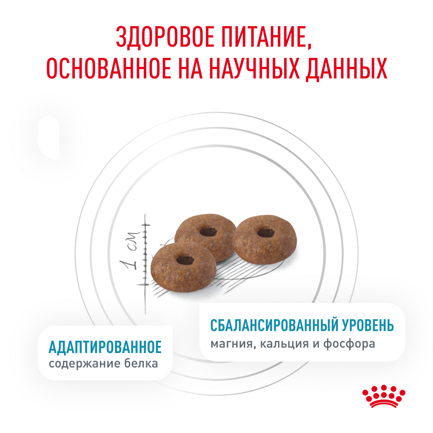 Корм для кошек ROYAL CANIN 1.5кг для кастрированных - фото 4