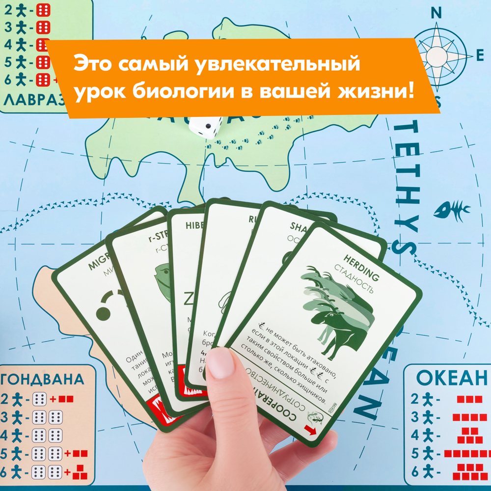 Настольная игра Правильные Игры Эволюция - фото 5