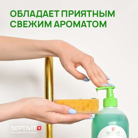 Средство для мытья посуды SEPTIVIT Premium Имбирное печенье 5л