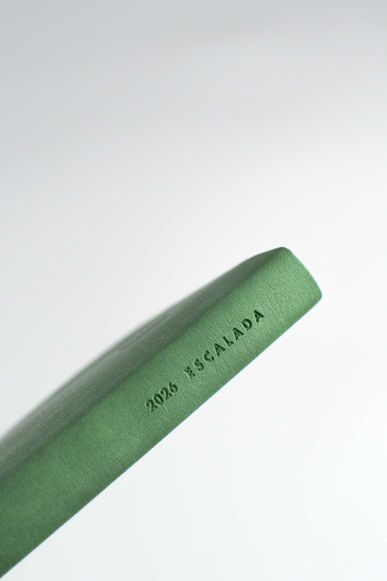 Ежедневник Феникс + ESCALADA 176 лист. - фото 6