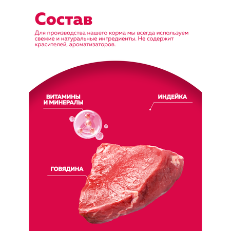 Корм влажный Зоогурман SMOLLY DOG Говядина ассорти, 100 гр х 15 шт