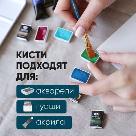 Кисть Гаммa 12 шт. (синтетика)