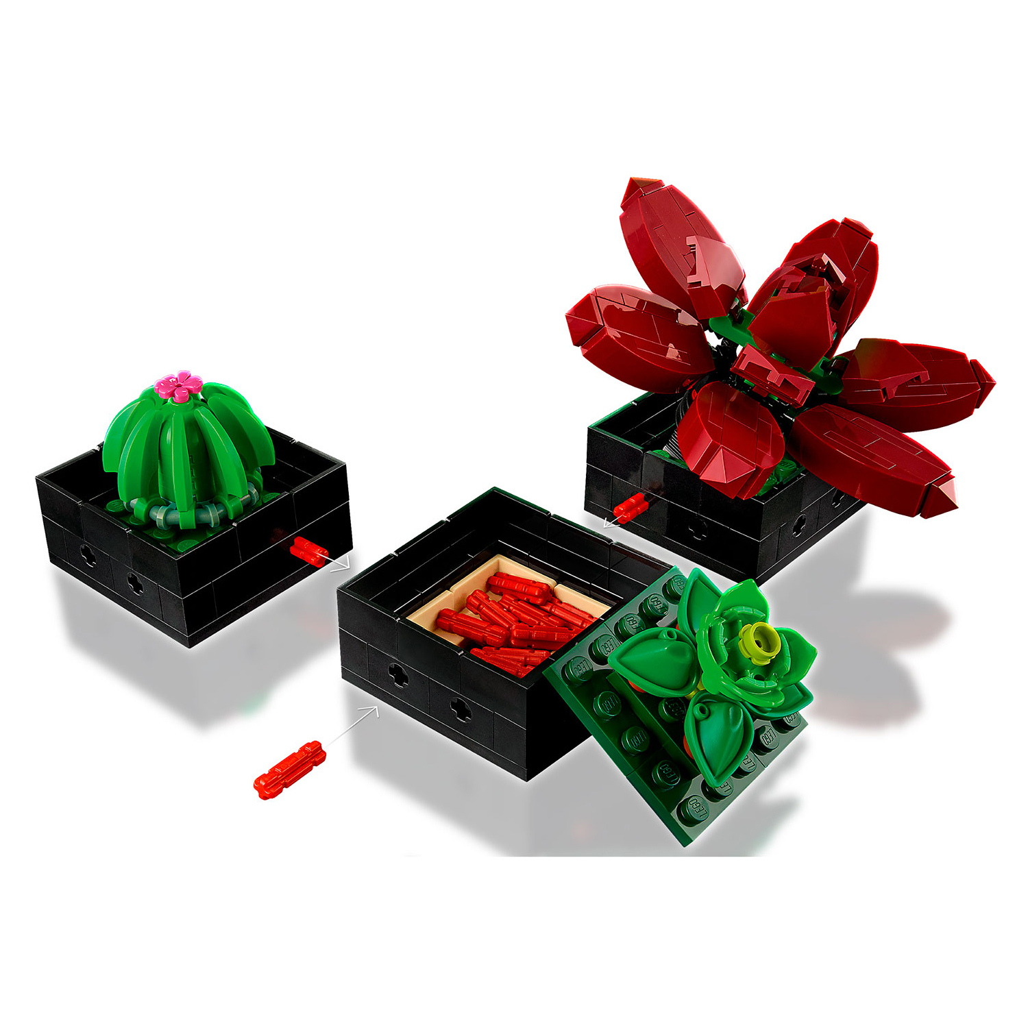 Конструктор LEGO Botanicals Кактусы 771 дет. - фото 6