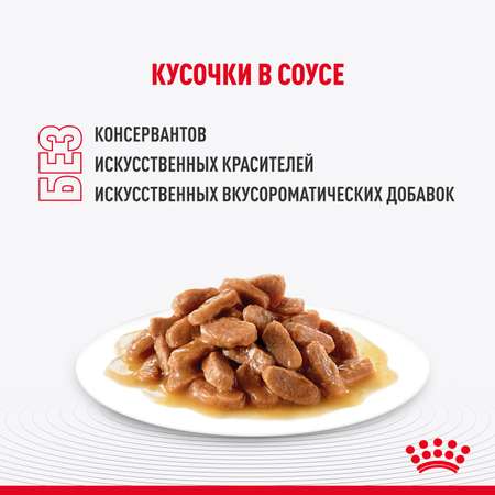 Корм для котят Royal Canin 85г Maine Coon Kitten соус для котят мейн кун пауч