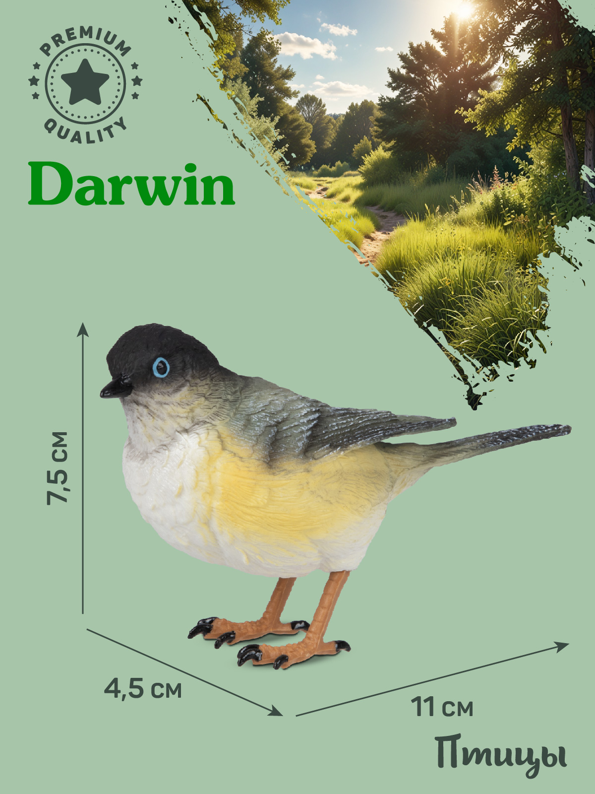 Фигурка DARWIN Птицы Синица - фото 3