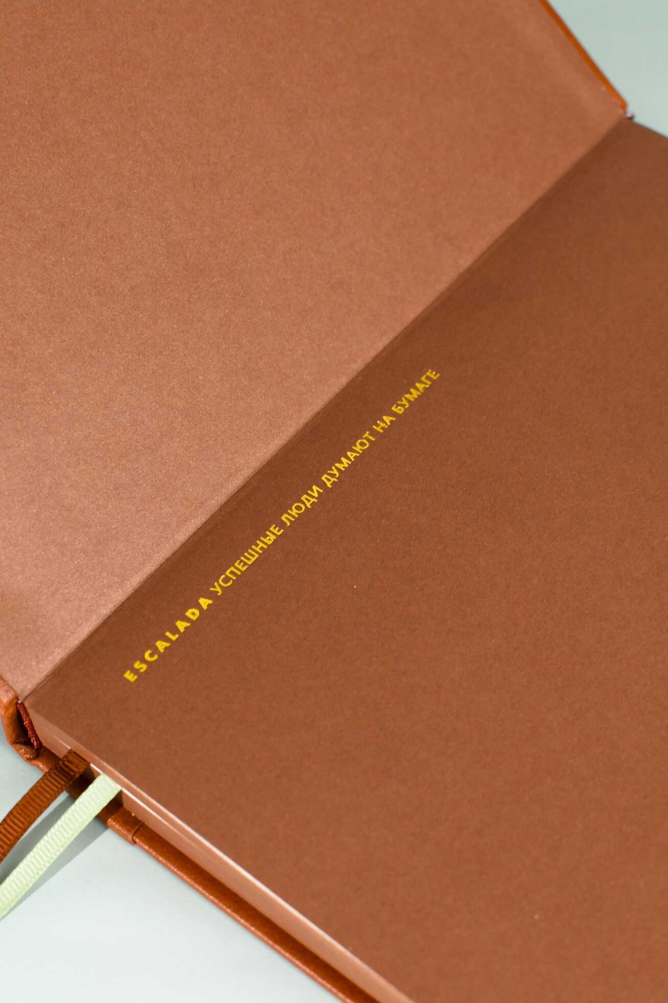 Ежедневник Феникс + ESCALADA 160 лист. - фото 12