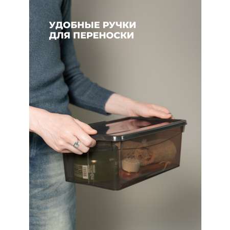 Ящики для хранения Бытпласт Кристалл 4шт по 5л