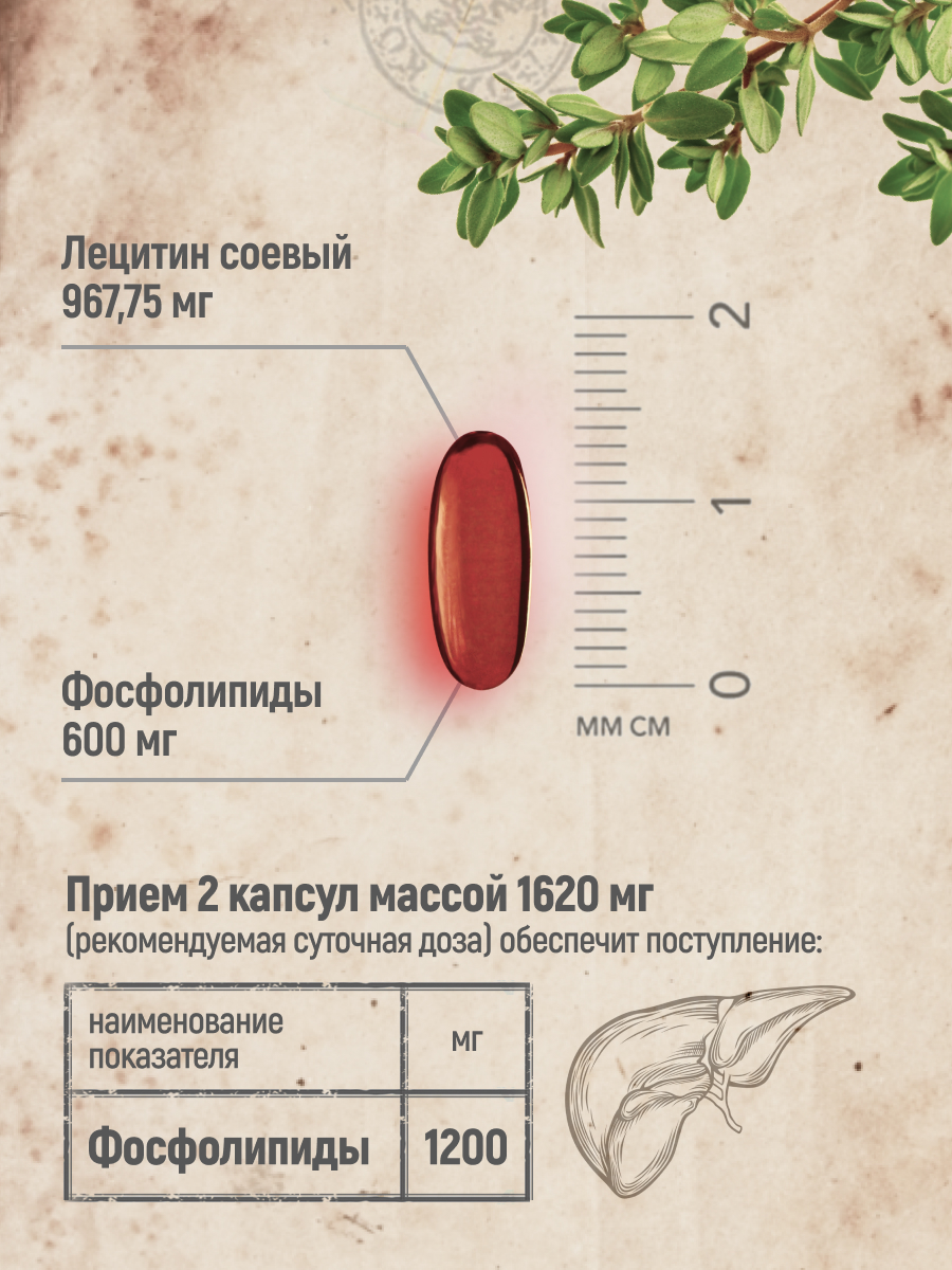 Набор MedCraft детокс для печени Лецитин + куркумин с пиперином в капсулах - фото 6