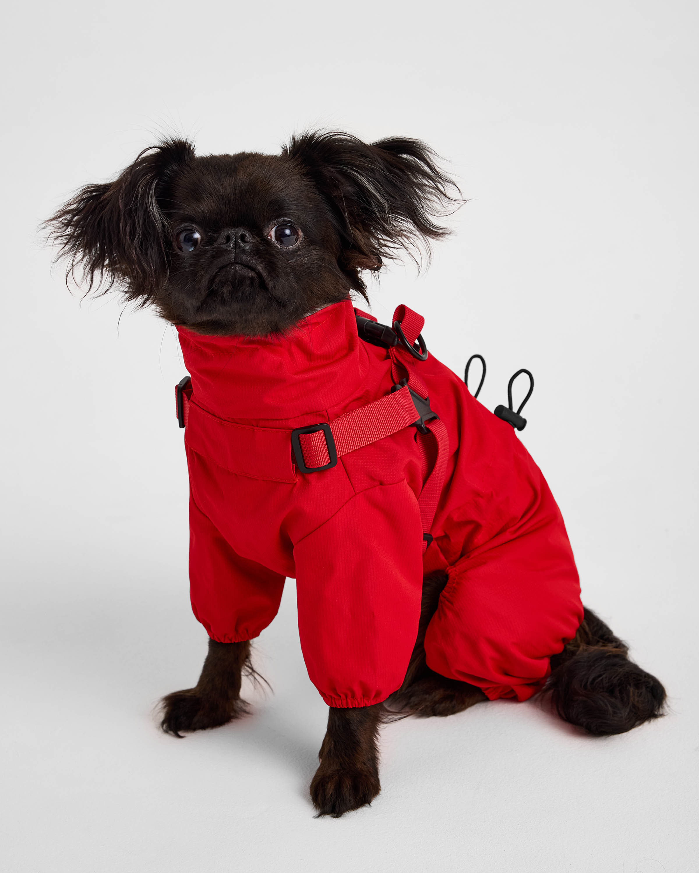 Изображение товара Комбинезон-дождевик Зоозавр для собак и кошек