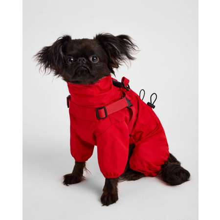 Комбинезон-дождевик для собак и кошек Зоозавр