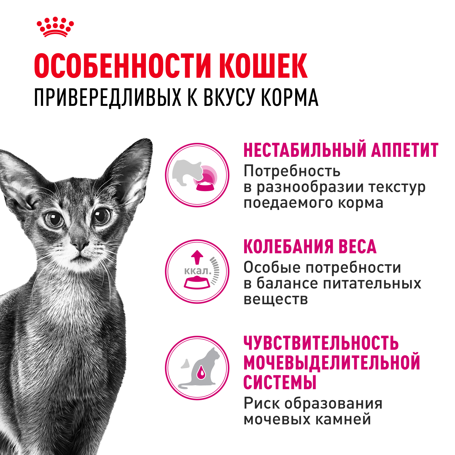 Корм для кошек ROYAL CANIN Savour Exigent для привередливых взрослых кошек от 1года сухой 0.2кг - фото 2