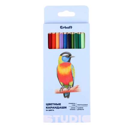 Карандаши цветные Erhaft 12 шт.