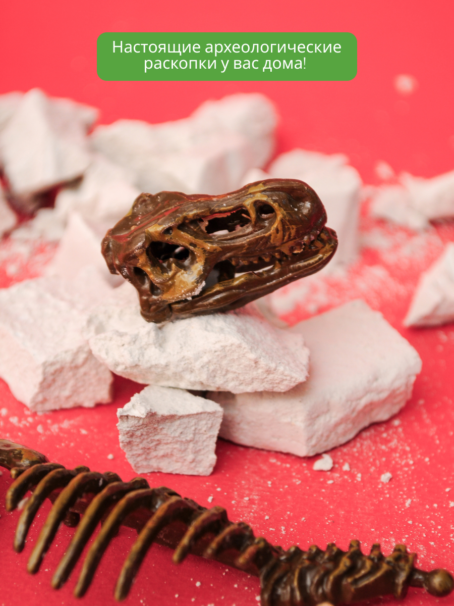 Набор для раскопок KONIK Science - фото 3