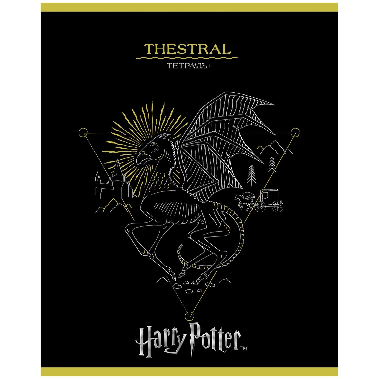 Общая тетрадь Hatber клетка 48 лист. в ассортименте - фото 3