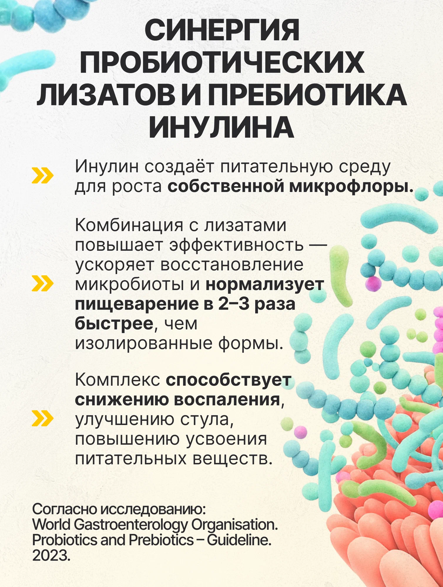 Биологически активная добавка VitaMeal Пробиотики и Пребиотики комплекс с Инулином для ЖКТ 60 капсул - фото 3