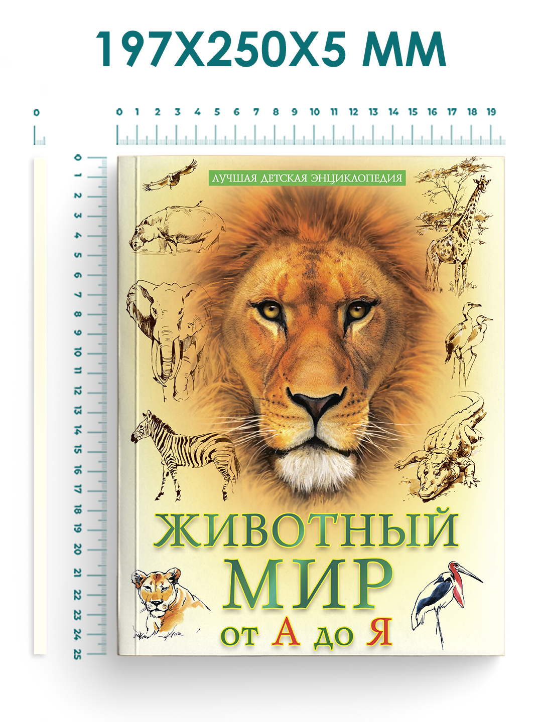 Книга Проф-Пресс Лучшая детская энциклопедия 96 стр мягкая обложка Животный мир от А до Я - фото 6