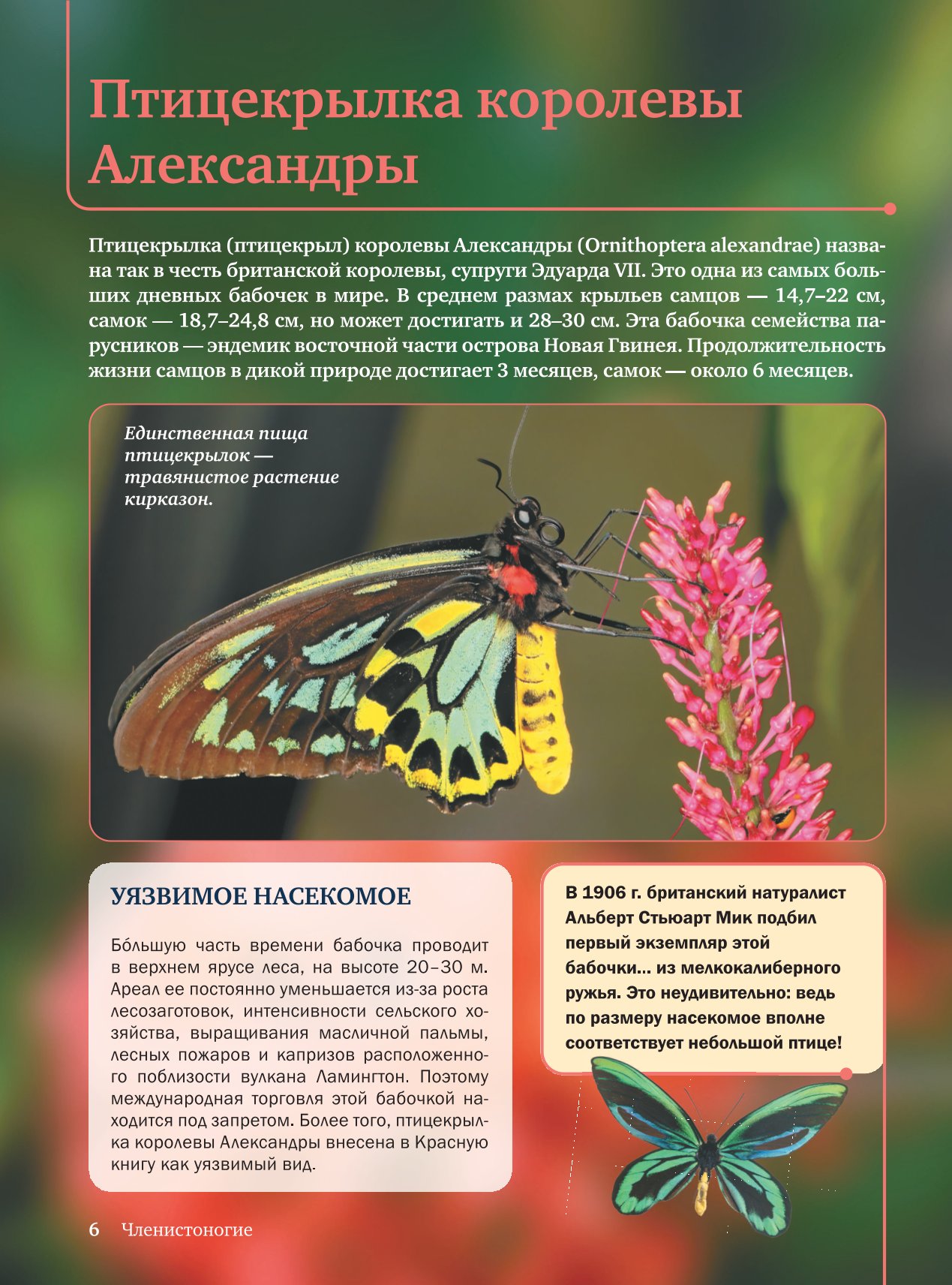 Энциклопедия АСТ Красная книга - фото 4