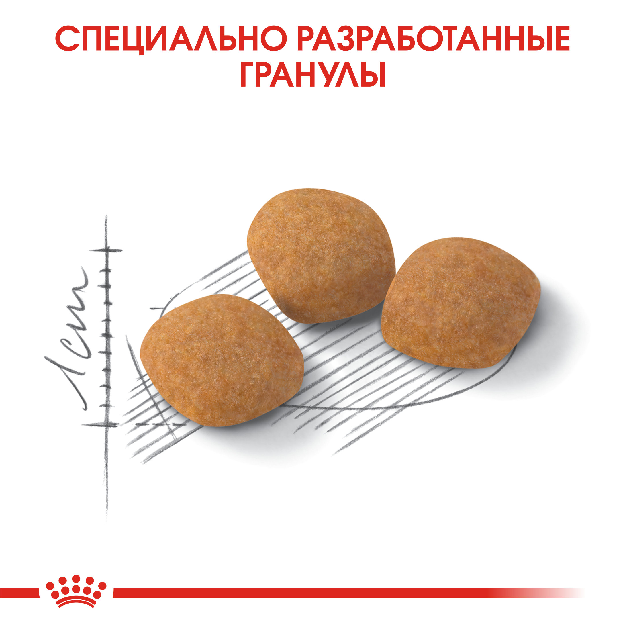 Корм сухой для кошек ROYAL CANIN Exigent Protein 2кг привередливых к составу продукта - фото 6