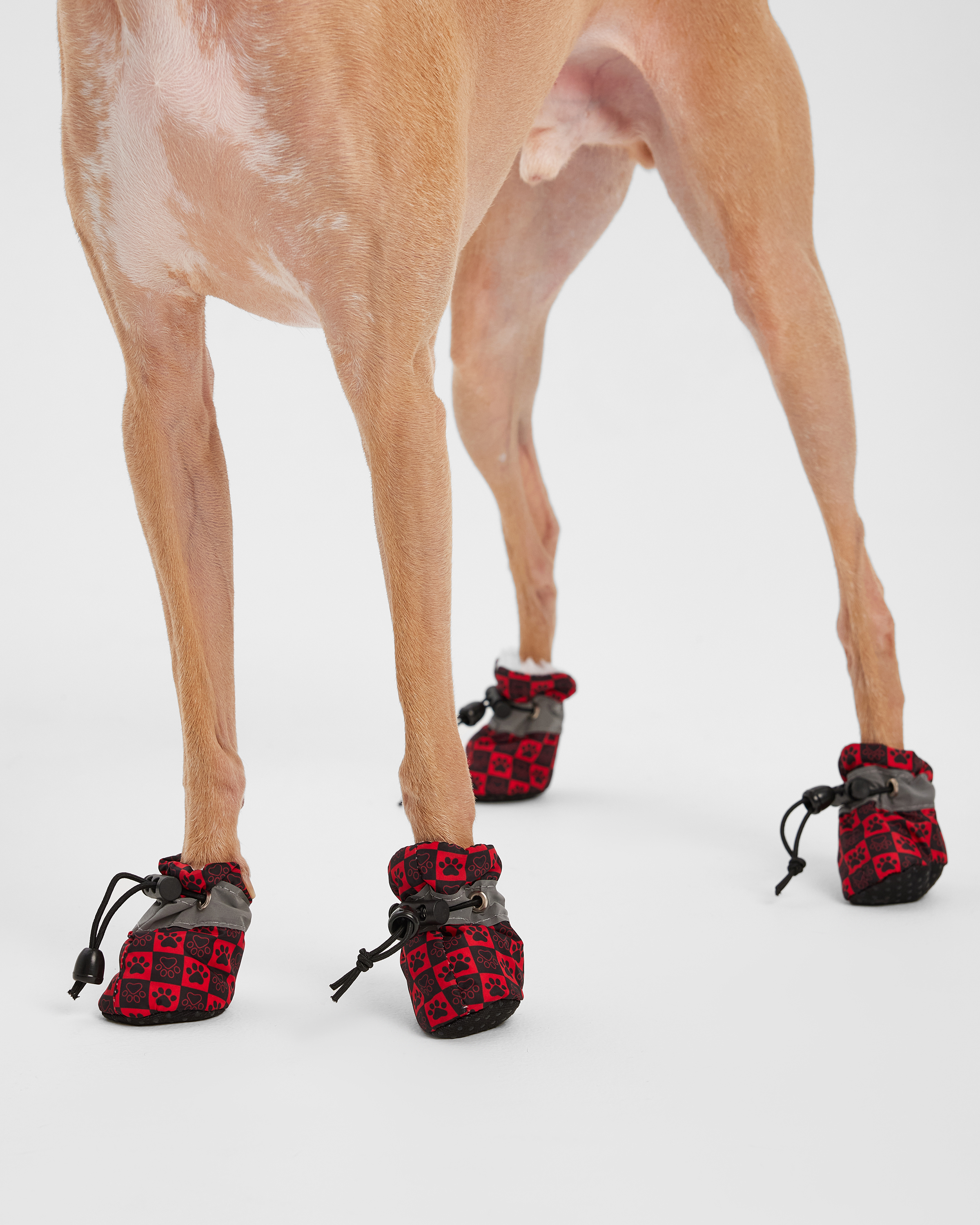 Ботинки для собак Зоозавр 4 шт - фото 6