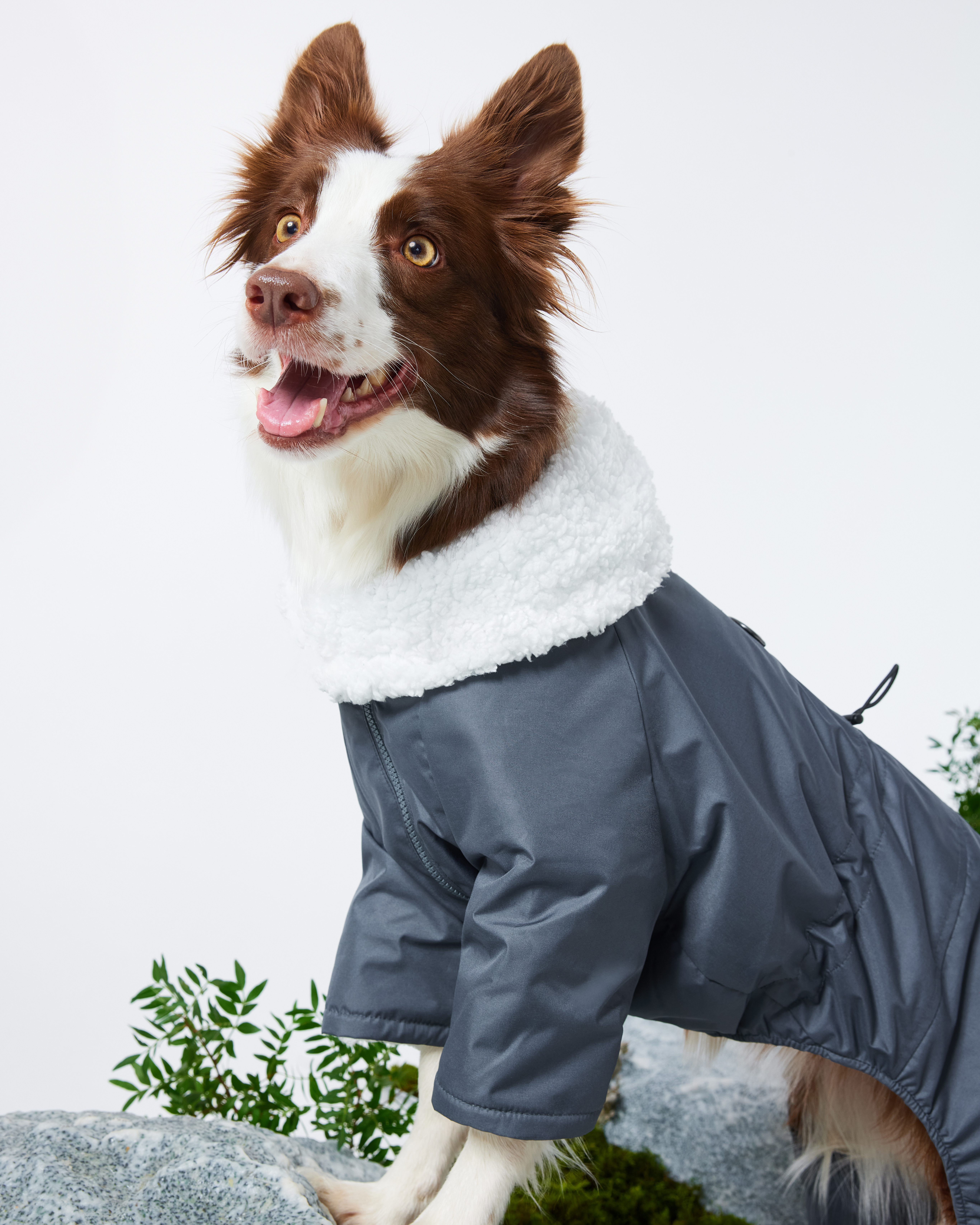 Комбинезон для собак и кошек Зоозавр - фото 1